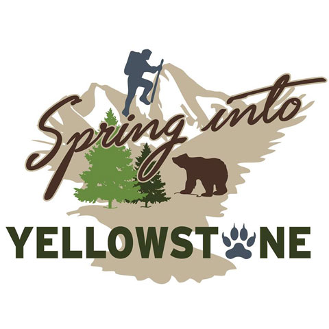 spring into yellowstone logo design branding
